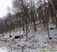 Snow-covered forests in Hrušov, Záhrady. Autumn trees on the slope.