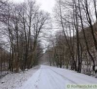 A snowy road in the Gardens near Hrušov, surrounded by leafless trees.