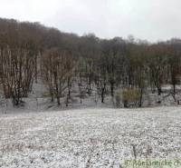 Snowy forest landscape in Hrušov with trees in Záhrady.
