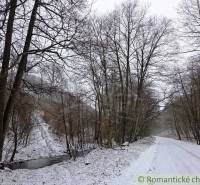 A snowy road and a stream between trees in a winter landscape near Hrušov.