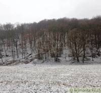 Snow-covered trees and meadow in the Gardens near Hrušov, winter natural scenery.