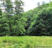 Green landscape in the Gardens near Hrušov with a dense forest on the edge of the meadow.
