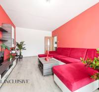 Living room in a 3-room apartment with a sofa, plants, and a wooden decor floor.