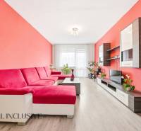 Living room in a three-room apartment with a red sofa and a wooden decor floor.
