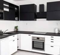 A kitchen in a 2-room apartment with black and white cabinets and built-in appliances.