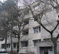 Apartment block with trees on Janotova Street in Bratislava - Karlova Ves.