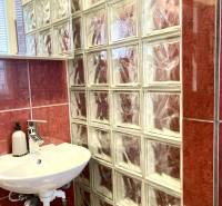 A bathroom in a 3-room apartment with red tiles and a sink next to a glass wall.