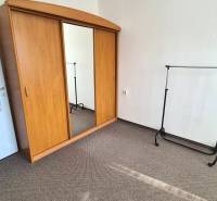 Wooden wardrobe with mirror, space for hangers, carpet in a 3-room apartment.