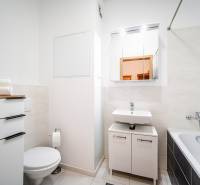 Bathroom in a 2-room apartment with a sink, bathtub, mirror, and toilet.