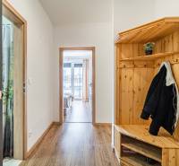 Entrance hallway in a 2-room apartment with a wooden decor floor and a shoe cabinet.