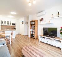 Living room with kitchen in a 2-room apartment, white kitchen, floor with wood decor.