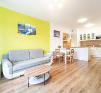 Living room with a kitchenette, gray sofa, and wood-patterned floor.