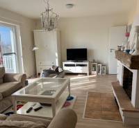 Living room in a cabin with a wood-patterned floor, fireplace, and TV.