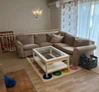 Living room in a cabin, light sofa, coffee table, carpet, wooden decor flooring.