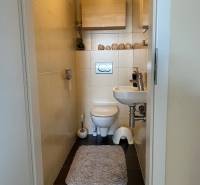 Small bathroom in a cabin with a toilet, cozy carpet, and wall shelves.