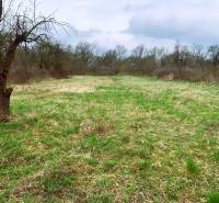 Spring residential land on Hlavná Street in Nižná Myšľa with a grassy surface.