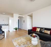 Living room in a three-room apartment with a sofa, dining table, and wooden decor flooring.