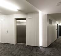 Building on Landererova Street in Bratislava - Old Town with an elevator and carpet.