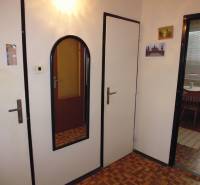 Entrance hallway of a one-room apartment with a wooden decor floor and a mirror.