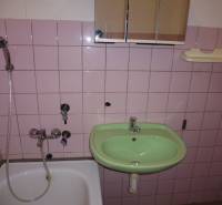 Bathroom of a one-room apartment with pink tiles, a shower, and a green sink.
