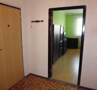 A hallway in a one-room apartment with a wooden decor floor and a green room.