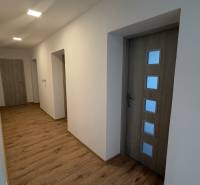A hallway in a family house with a wood-patterned floor and wooden doors.