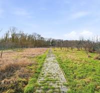 A garden with a path in residential plots in Vrakúňa, surrounded by trees.