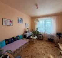 Living room with a sofa, decorations, and wood-patterned flooring in a three-room apartment.