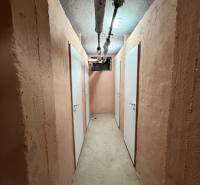 A basement corridor with four doors and visible wiring.