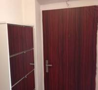 Doors and a shoe cabinet with a wooden decor in a 2-room apartment.