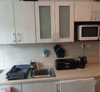 A kitchen in a 2-room apartment with cabinets, a microwave, and a sink.