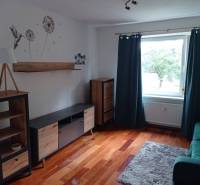 Living room with wood-patterned flooring and furniture in a two-room apartment.