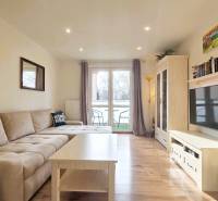 Living room in a 2-room apartment with a wooden decor floor and a comfortable couch.