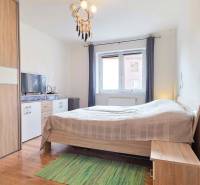 Bedroom with a bed, wood-patterned floor, cabinets, and a window in a 2-room apartment.
