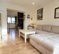 Living room in a 2-room apartment with a sofa and a wooden decor floor.