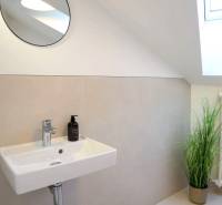 Bathroom in a 3-room apartment with a sink, mirror, and houseplant.