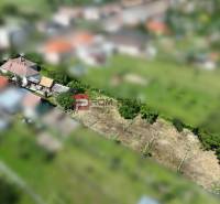 Aerial view of a family house and plot in Dolné Orešany with dense greenery.