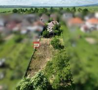 A family house in Dolné Orešany surrounded by a garden with a large plot and the surrounding nature.