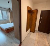 In the 2-room apartment, there is an entrance hallway with a coat rack and a bedroom with a wooden decor floor.