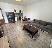 Living room in a two-room apartment with a wooden decor floor, a sofa, and a dining table.
