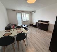 Living room in a two-room apartment with a wooden decor floor, dining table, and sofa.