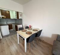Dining room with kitchen, dining table, chairs, wooden decor flooring in a 2-room apartment.