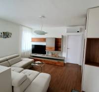 Living room in a two-room apartment with a comfortable sofa and a wooden decor floor.
