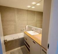 Bathroom with a bathtub, sink on a countertop, and a large mirror in a two-room apartment.
