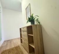 A hallway in a 3-room apartment with a dresser, a mirror, and a plant on a floor with a wooden decor.