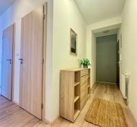 A hallway with a wooden decor floor, a cabinet, and a mirror in a 3-room apartment.