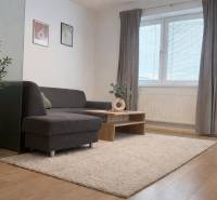 Living room in a 3-room apartment with a sofa, carpet, and wooden decor flooring.
