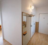 Entrance area of a 3-room apartment with a wood-patterned floor and a coat rack wall.
