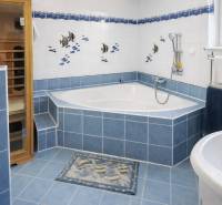 A large bathroom with a corner bathtub, blue tiles, and a sauna in a family house.