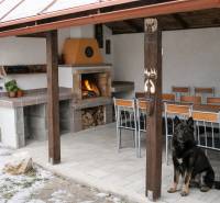 The dog is sitting in the yard of a family house on Mieru Street in Poproč.